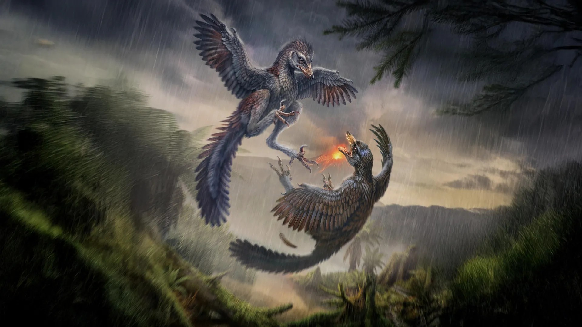 The oldest flightless bird