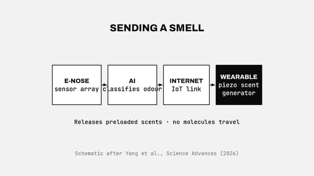 Sending a smell over the internet