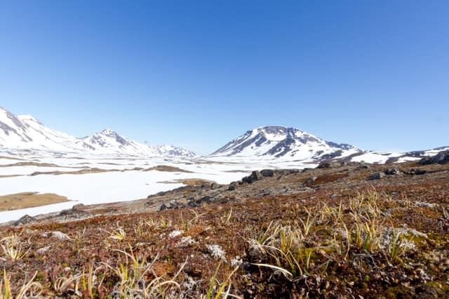 Cold War samples reveal a warmer, ice-free Greenland
