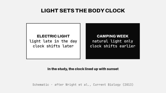 Light sets the body clock