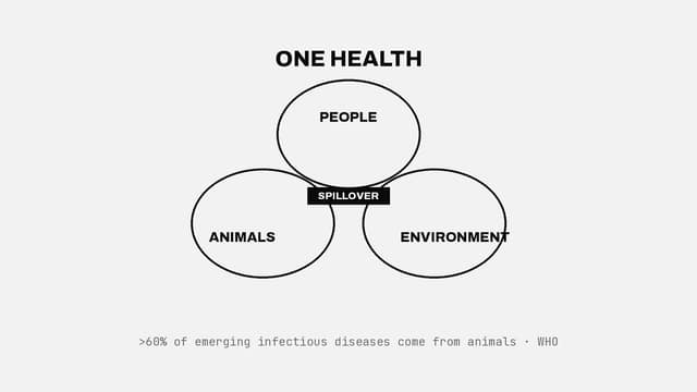 One Health
