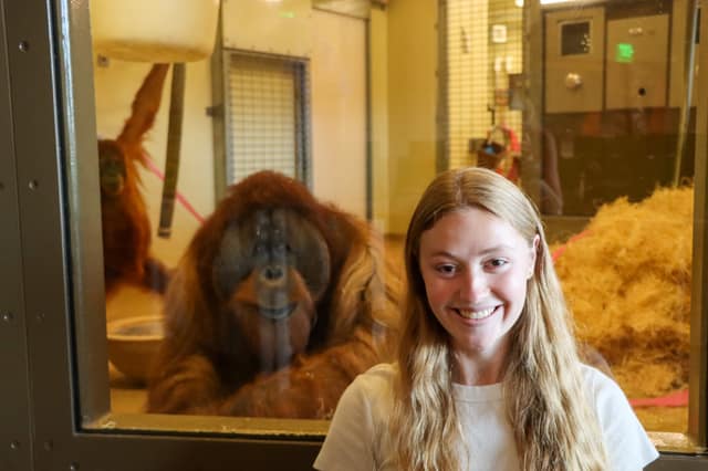 A researcher smiling beside an orangutan behind glass at the Indianapolis Zoo