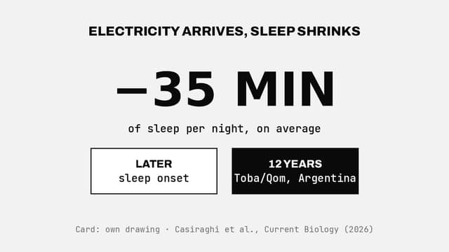 Electricity arrives, sleep shrinks