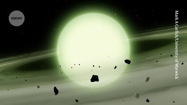 White dwarfs are not all white