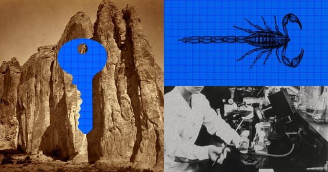 Anthropic illustration: a key-shaped cutout in a rock, a scorpion drawing on a blue grid and a scientist at a lab bench