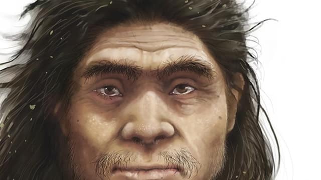Ancient proteins give the Denisovans a face