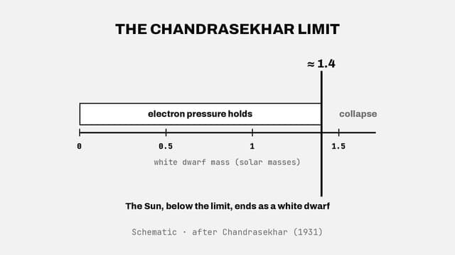 Why white dwarfs don't collapse