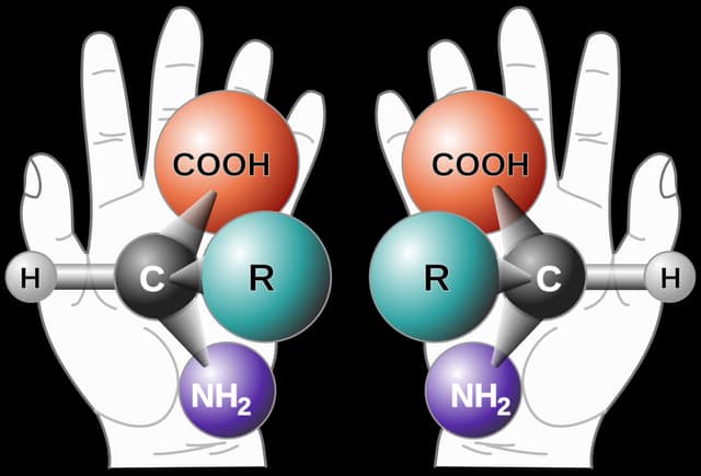 Chirality: molecules with a left and a right hand